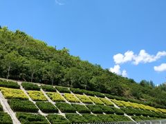 -白鹿原影视城