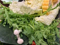 -掂档潮汕牛肉火锅(沈阳万象城店)