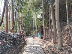 -大屏嶂森林公园