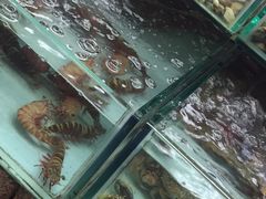 -班赞海鲜市场
