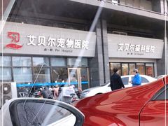 -艾贝尔宠物医院·24H转诊中心·肿瘤猫专科(江宁双龙店)