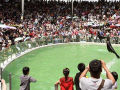 -西安秦岭野生动物园