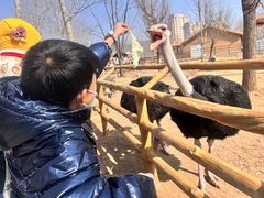 -大连森林动物园