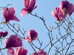 -天鹅湖体育公园