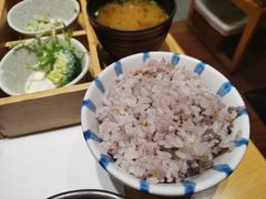 杂粮饭-胜博殿日式炸猪排(西红门店)