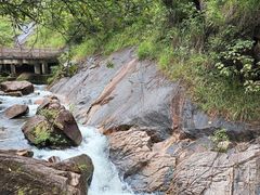 -广州白江湖森林公园