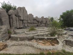 -武清南湖绿博园