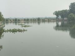 -东方巨龟苑景区