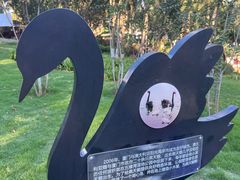 -五缘湾湿地公园