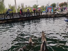 -华夏文旅海洋公园