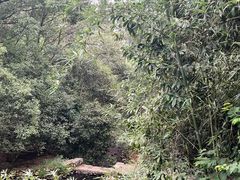 -潜山国家森林公园