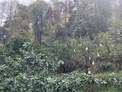 -樱桃山旅游景区