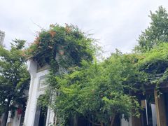 -鲤院·新中式美学·庭院餐厅(夫子庙店)