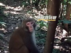-狮子山郊野公园