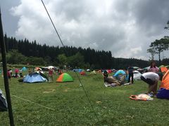 -武陵山森林公园