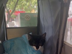 -艾贝尔宠物医院 ·中兽医·宠保定点(北门桥店)