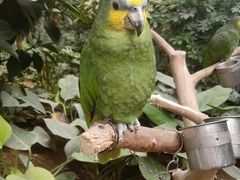 -南宫五洲植物乐园