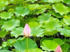 -常州奔牛国际机场