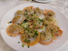 蒜蓉粉丝蒸扇贝-台山第一家兴华黄鳝饭·黄鳝婆(开平店)