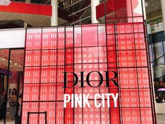 -Dior迪奥(上海世茂广场店)