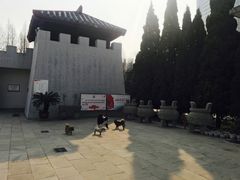 -亳州博物馆