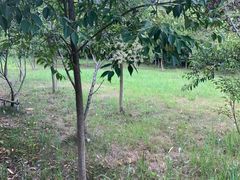 -南京金牛湖风景区