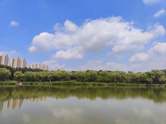 -燕郊植物园