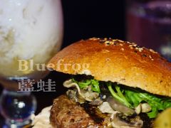 -bluefrog蓝蛙(皇庭广场店)