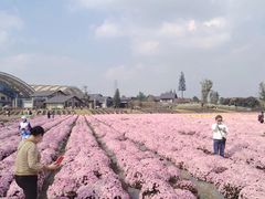 -中国天府农业博览园