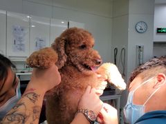 -北京恒爱动物医院(清景园分院)