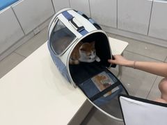 -守诺宠物医院·眼科· 特色牙科·异宠专科(虹口店)