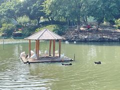 -玄武湖景区-情侣园游乐场