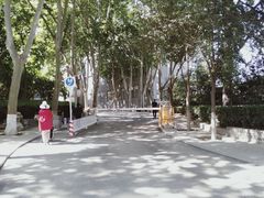 -西安市长乐公园