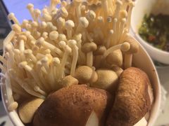 -禄婶鸡煲·打边炉