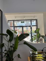 -Sugar苏格婚礼策划工作室