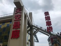 -梦幻奥陶纪景区