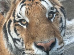 -栾川竹海野生动物园