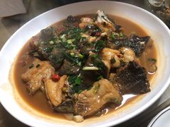 -全乐鱼馆·淳牌有机鱼直营店
