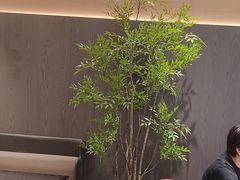 -苏淮景·苏闽融创菜·海鲜(原空港井河轩店)