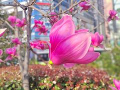 -人民广场