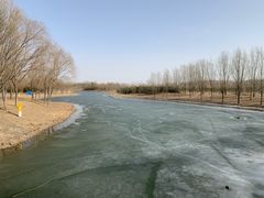 -东郊湿地公园