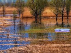 -野鸭湖国家湿地公园