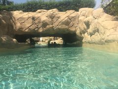-亚特兰蒂斯水世界冒险乐园