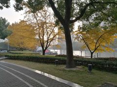 -苏州河梦清园环保主题公园