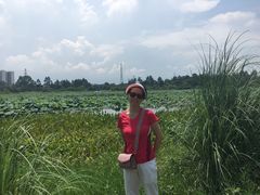 -三圣花乡旅游区