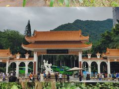 -深圳仙湖植物园