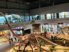 -自贡恐龙博物馆