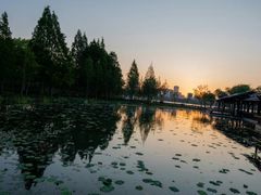 -渤公岛生态公园