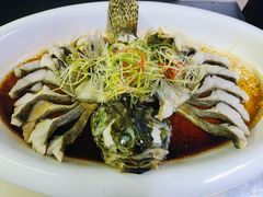 -福照楼汽锅鸡·云南菜(万达广场店)