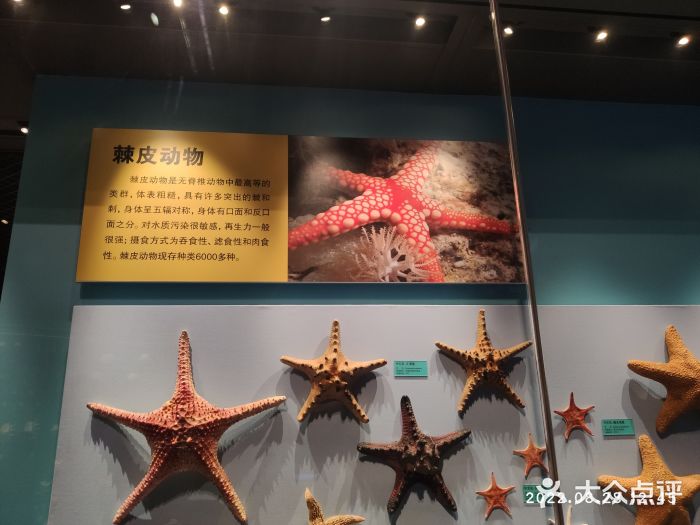 天津自然博物馆图片